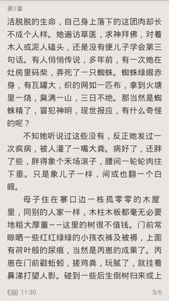 爱游戏官方赞助的罗马